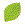 �t