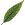 �t