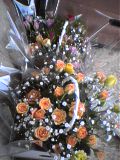 �j�c�ɂ���O��o�����̃o���B�����ĂƂĂ����C�̂����f�G�ȃo�����w���ł��܂��B