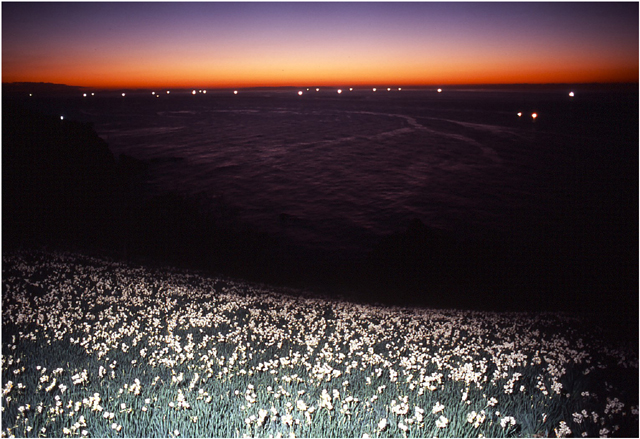 �z�O���̐���