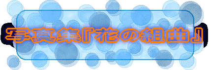 �ʐ^�W�w�Ԃ̑g�ȁx