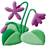 �ʐ^�W�̈ē�