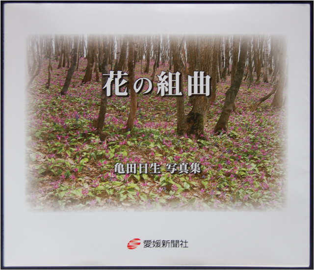 �ʐ^�W�[�\��